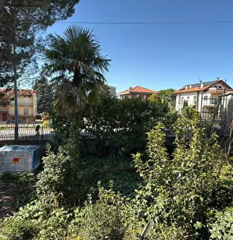 Foto annuncio 11