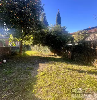 Foto annuncio 12