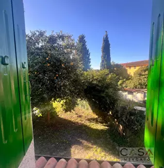 Foto annuncio 17