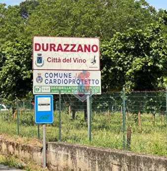 Foto annuncio 7