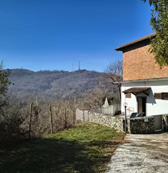 Foto annuncio 24