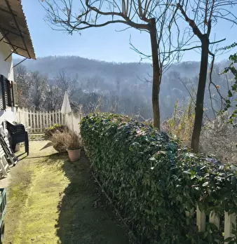 Foto annuncio 26