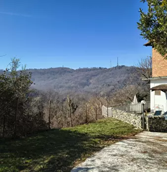 Foto annuncio 30