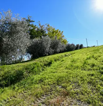 Foto annuncio 28