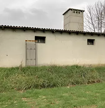 Foto annuncio 31