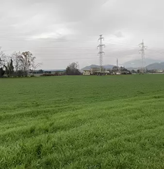 Foto annuncio 36