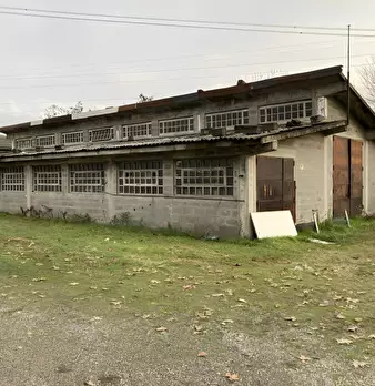 Foto annuncio 39