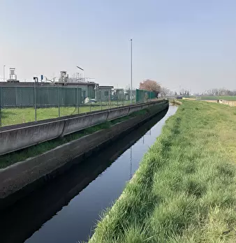 Foto annuncio 55