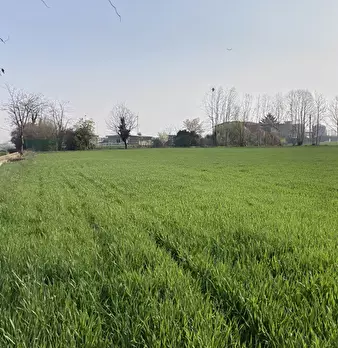Foto annuncio 56