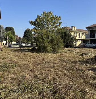 Foto annuncio 26