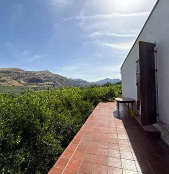 Foto annuncio 14