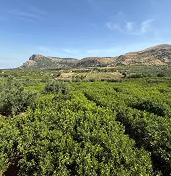 Foto annuncio 21