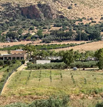 Foto annuncio 26