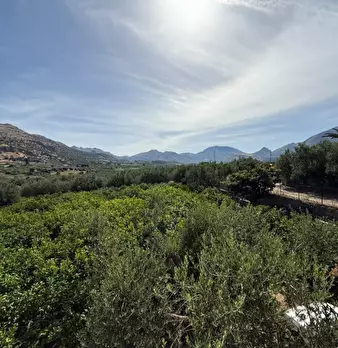 Foto annuncio 27