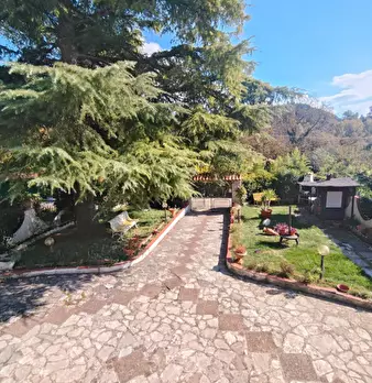 Foto annuncio 2