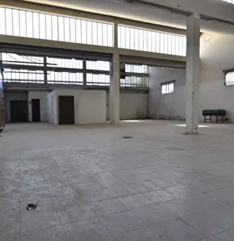 Foto annuncio 9