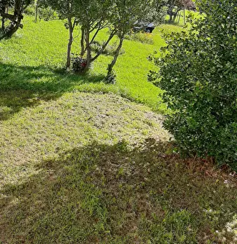 Foto annuncio 23