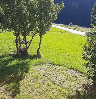 Foto annuncio 38