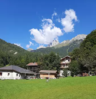 Foto annuncio 41