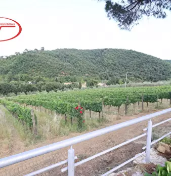 Foto annuncio 16
