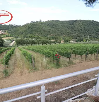 Foto annuncio 18