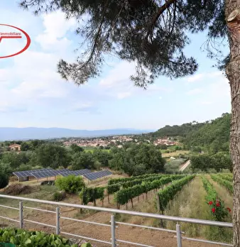 Foto annuncio 19