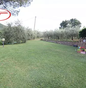 Foto annuncio 21