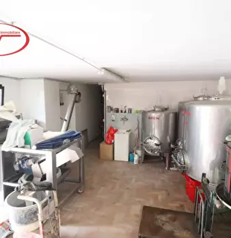 Foto annuncio 43