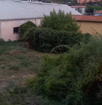 Foto annuncio 1