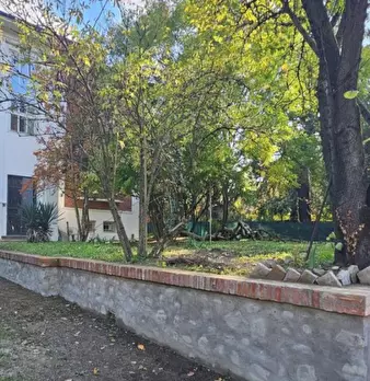 Foto annuncio 5