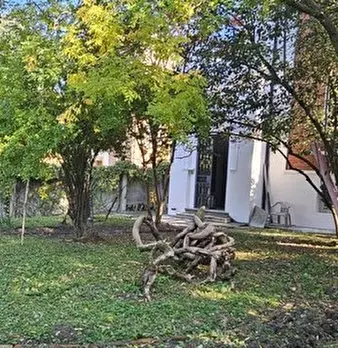Foto annuncio 6