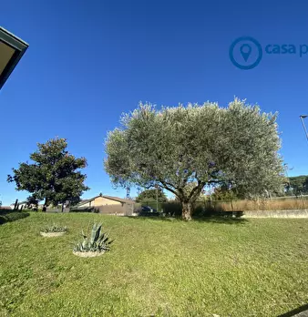 Foto annuncio 44