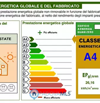 Foto annuncio 14