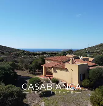 Foto annuncio 5