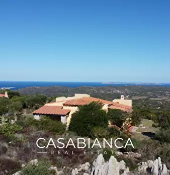 Foto annuncio 6