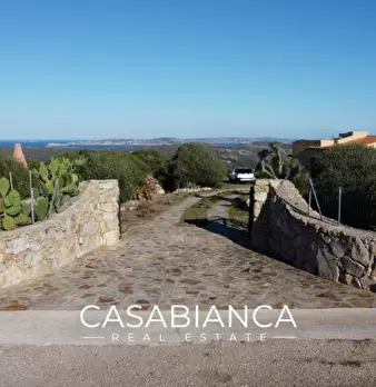 Foto annuncio 9