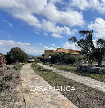 Foto annuncio 10
