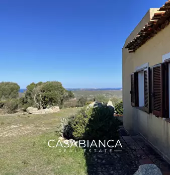 Foto annuncio 12