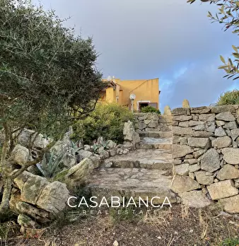 Foto annuncio 16