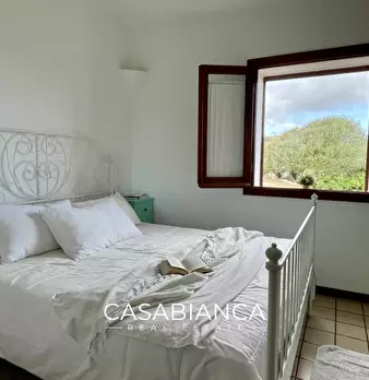 Foto annuncio 39