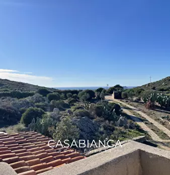 Foto annuncio 47