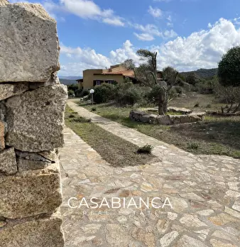 Foto annuncio 49