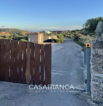 Foto annuncio 50