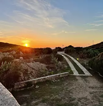 Foto annuncio 52
