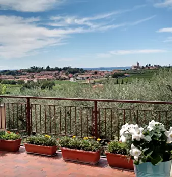 Foto annuncio 5