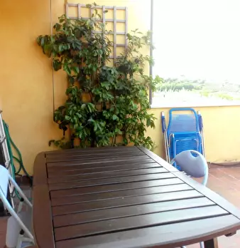 Foto annuncio 6