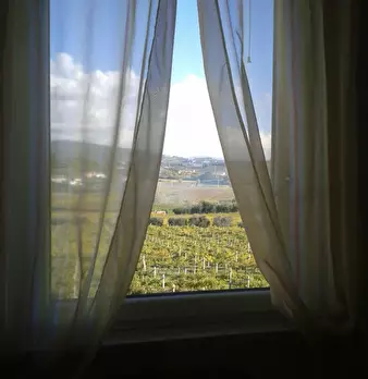 Foto annuncio 15