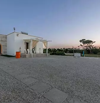 Foto annuncio 19