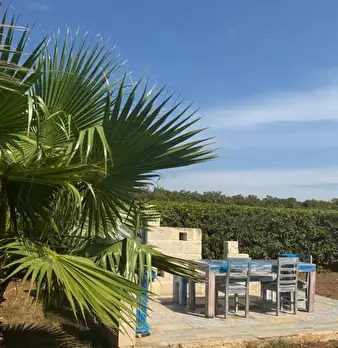 Foto annuncio 52
