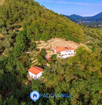 Foto annuncio 10